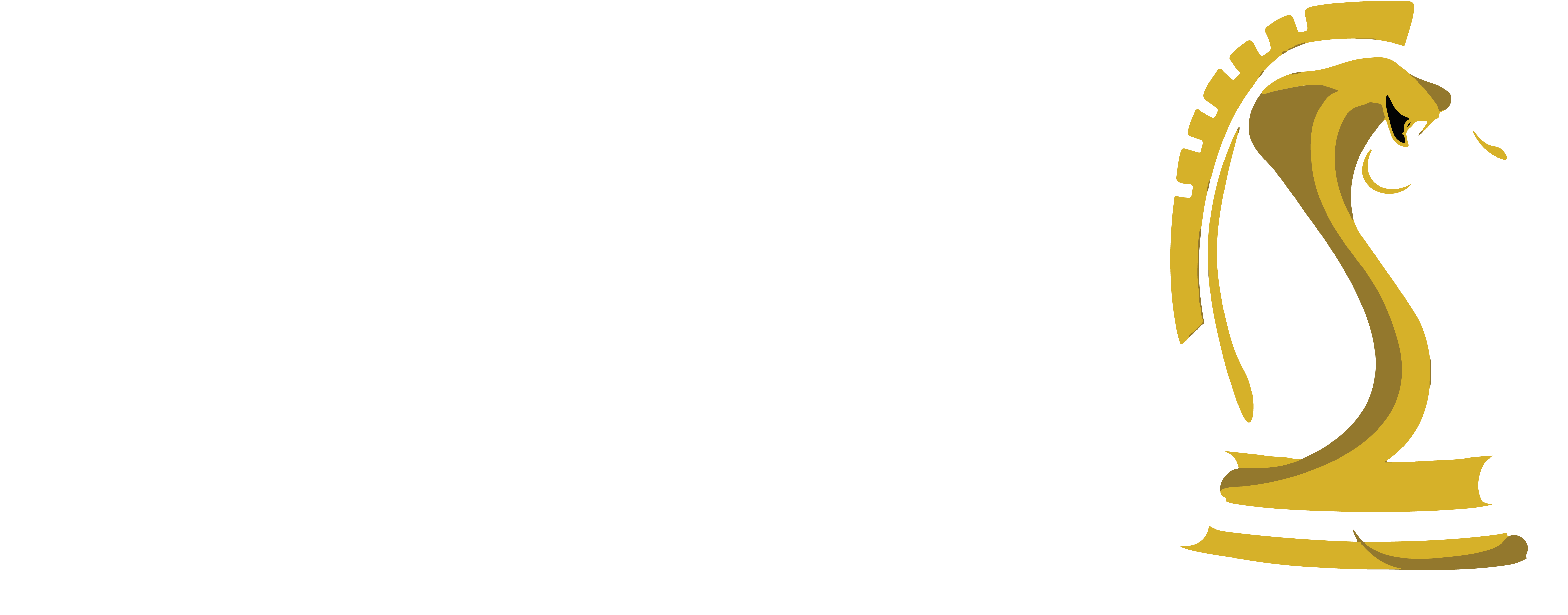 img1